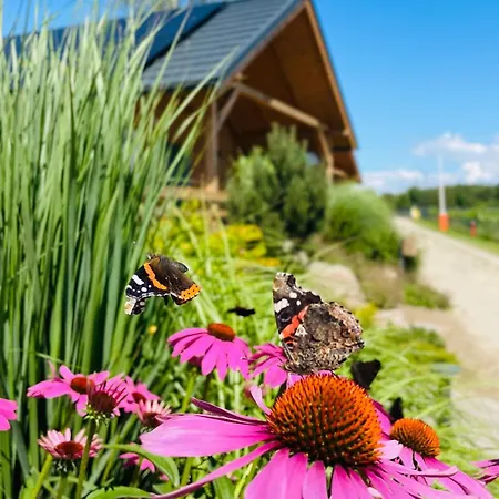 롯지 Osada Chmiel *