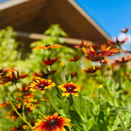 Osada Chmiel Chmielno