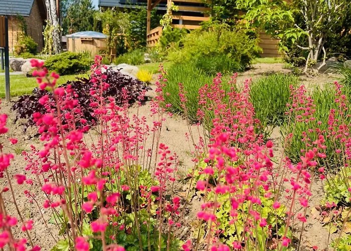 Osada Chmiel Lodge *