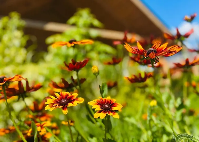 Osada Chmiel Chmielno